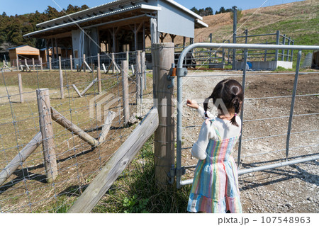 クルックフィールズ クルックフィールズ 107548963