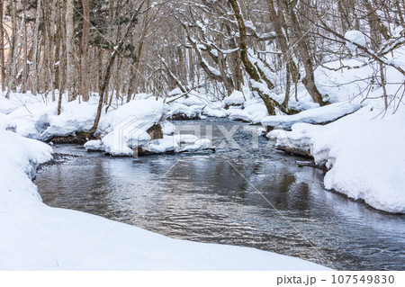 「青森県」奥入瀬の冬景色 107549830