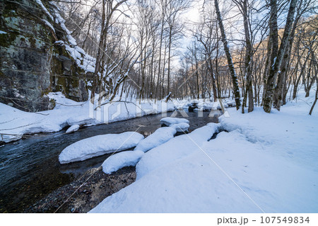 「青森県」奥入瀬の冬景色 107549834