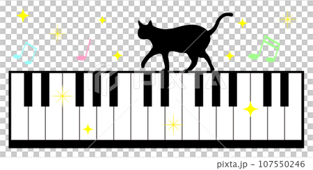 貓在鍵盤上行走 貓在鍵盤上行走 107550246