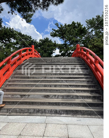 大阪住吉大社 107550256