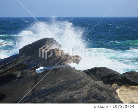 荒波の春の城ヶ島 自然風景 荒波の春の城ヶ島 自然風景 107550754