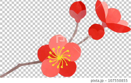 Illustration of red plum 107550855