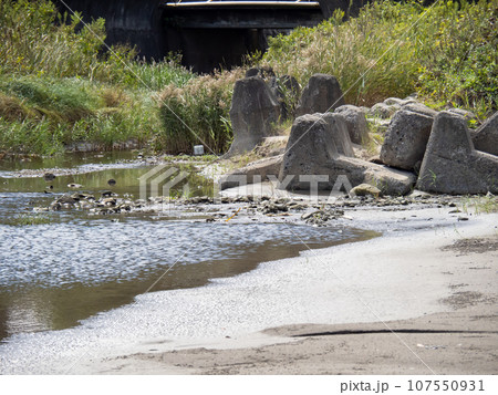 中津海川河口。福井県大飯郡高浜町。 107550931