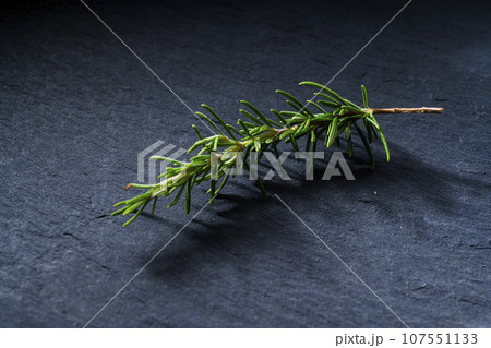 ローズマリーの枝 107551133