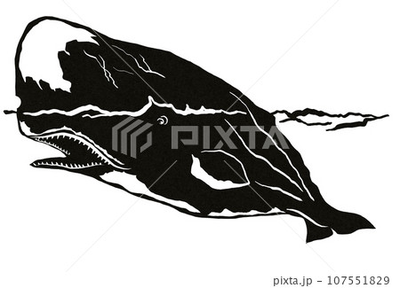 可愛いくじら 107551829