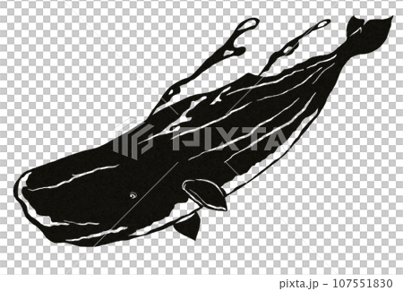 Cool whale dive 107551830