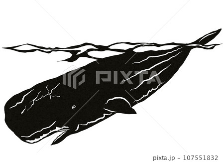 潜水艦みたいな鯨のイラスト 潜水艦みたいな鯨のイラスト 107551832