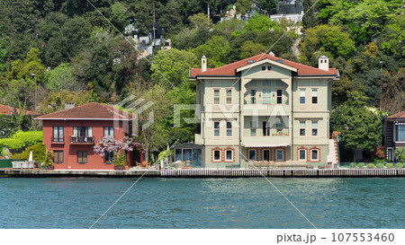 Traditional houses on a green hill by Bosphorus in Istanbul, Turkey in springtime 107553460