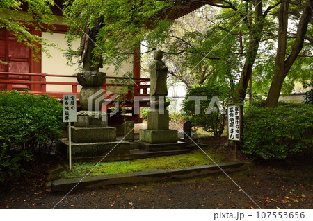 茨城県水戸市の二十三夜尊桂岸寺 茨城県水戸市の二十三夜尊桂岸寺 107553656