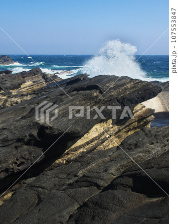 荒波の春の城ヶ島　　自然風景 107553847