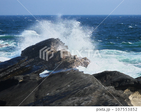 荒波の春の城ヶ島　　自然風景 107553852