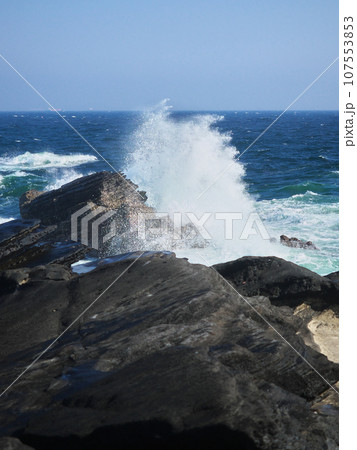荒波の春の城ヶ島 自然風景 荒波の春の城ヶ島 自然風景 107553853