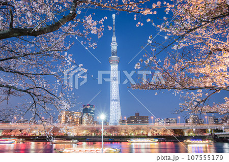 東京夜景　夜桜と隅田川とスカイツリー　2018 #01 107555179