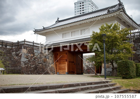山梨県甲府市 舞鶴城跡地 山梨県甲府市 舞鶴城跡地 107555587