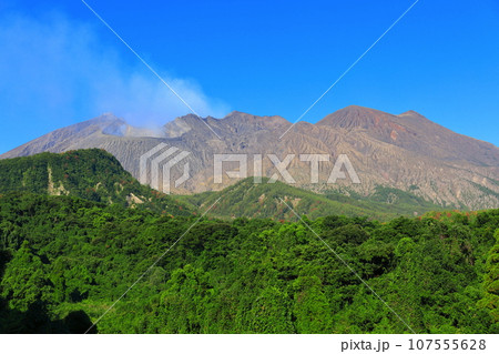 【鹿児島県】黒神から見た桜島昭和火口 107555628