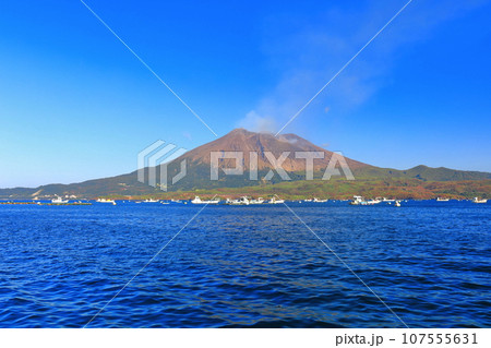 【鹿児島県】垂水から見た快晴の桜島 【鹿児島県】垂水から見た快晴の桜島 107555631