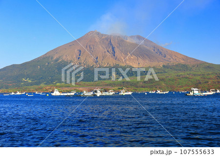 【鹿児島県】垂水から見た快晴の桜島 【鹿児島県】垂水から見た快晴の桜島 107555633