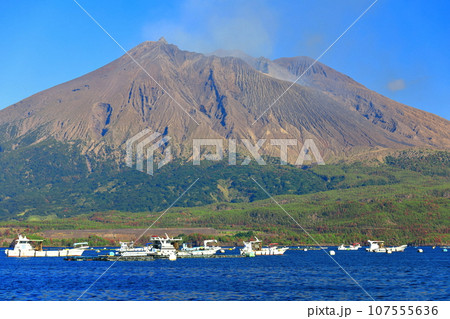 【鹿児島県】垂水から見た快晴の桜島 【鹿児島県】垂水から見た快晴の桜島 107555636