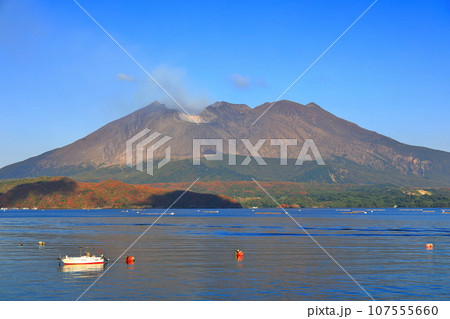 【鹿児島県】朝日を浴びる桜島昭和火口 【鹿児島県】朝日を浴びる桜島昭和火口 107555660
