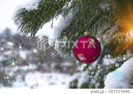 A Christmas tree toy hanging on a pine branch with snow. A Christmas tree toy hanging on a pine branch with snow. 107555690