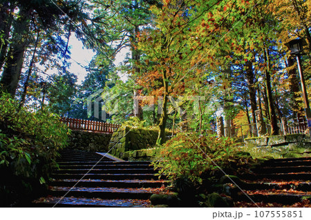 【栃木】秋の日光 日光の社寺へと続く石段と紅葉 【栃木】秋の日光 日光の社寺へと続く石段と紅葉 107555851