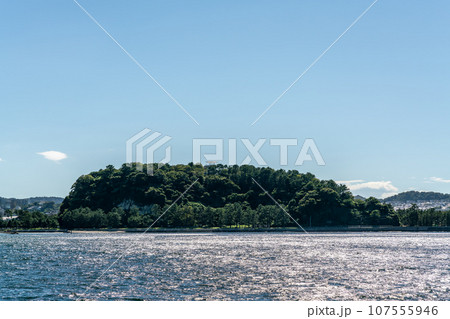 真っ青な空と野島公園 真っ青な空と野島公園 107555946