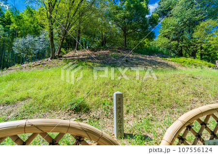 京都府向日市 竹の径 寺戸大塚古墳 京都府向日市 竹の径 寺戸大塚古墳 107556124
