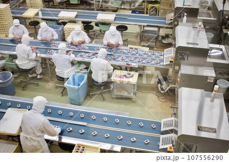 信玄餅製造ライン 信玄餅製造ライン 107556290