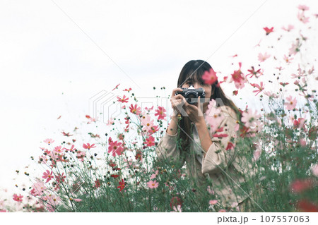 花畑の中で写真を撮る女性 花畑の中で写真を撮る女性 107557063