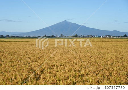 岩木山と秋の津軽平野 岩木山と秋の津軽平野 107557780