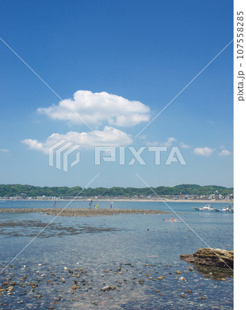 和賀江島と春の湘南海岸　　自然風景 107558285