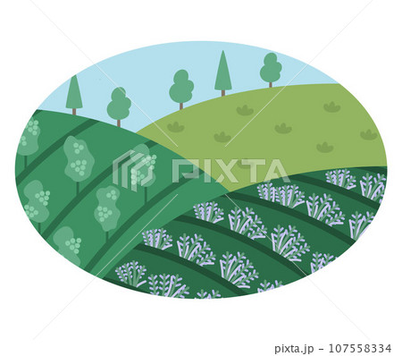 Vector French field landscape with wine yard and lavender field framed in oval. European farm illustration. Rural village scene with trees and grapes. Cute nature background 107558334