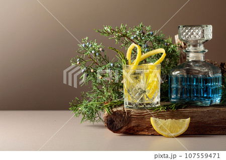 Cocktail gin-tonic with ice, lemon, and rosemary in a frozen glass. Cocktail gin-tonic with ice, lemon, and rosemary in a frozen glass. 107559471