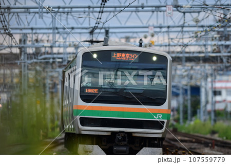 東海道線 鎌倉(客貨)踏切 東海道線 鎌倉(客貨)踏切 107559779