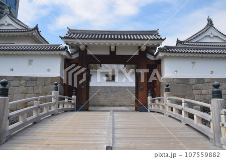 駿府城 東御門・東御門橋 駿府城 東御門・東御門橋 107559882