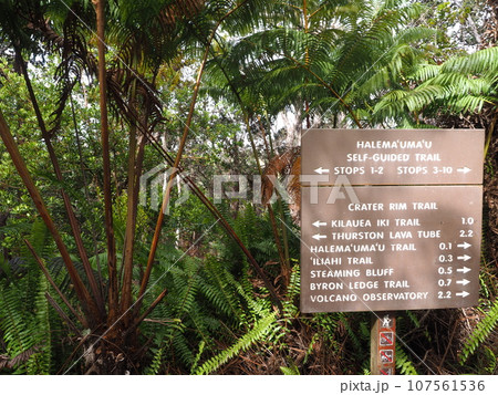 ハワイ火山国立公園をハイキング 107561536