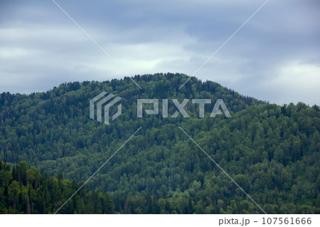 green mountain ridge scene green mountain ridge scene 107561666