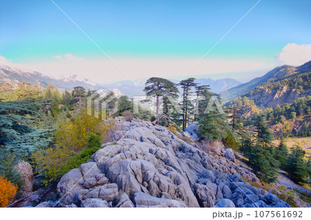 soothing mountain rock  summer wonderful view 107561692