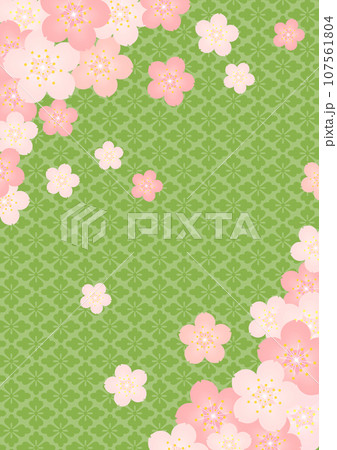 和柄の背景   花菱 107561804