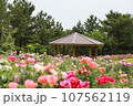 花のある公園 107562119
