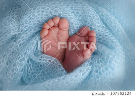 Close-up of tiny, cute, bare toes, heels and feet of a newborn girl, boy. Baby foot on blue soft coverlet, blanket. Detail of a newborn baby legs.Macro horizontal professional studio photo.  107562124