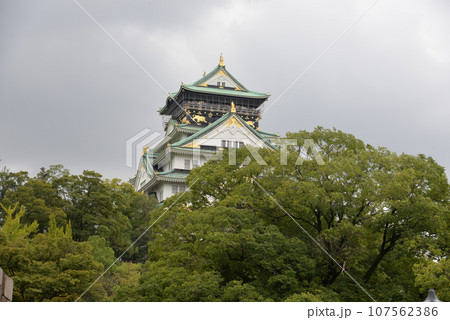 大阪城 107562386