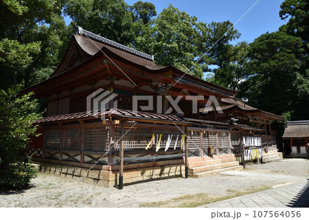 若宮社と若宮殿社 石清水八幡宮 若宮社と若宮殿社 石清水八幡宮 107564056