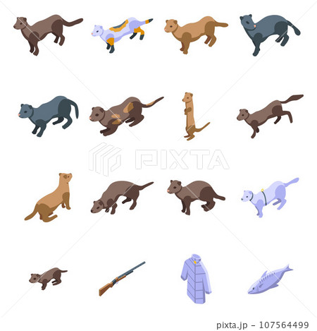 Mink icons set. Isometric set of mink vector icons for web design isolated on white background 107564499