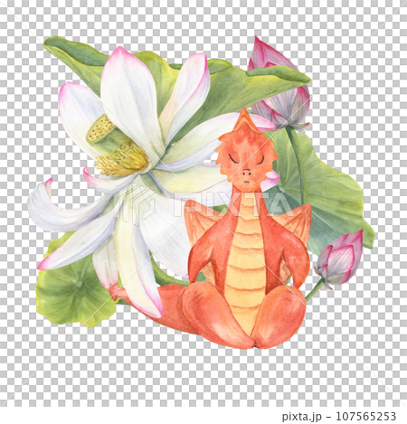 Dragon sitting in lotus pose. Meditation among blooming Water Lily. Pink Lotus flower, Bud, Leaf. Fitness exercises, yoga. Watercolor illustration for greetings, package, label. 107565253