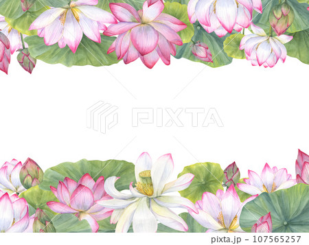 Rectangle frame with watercolor pink lotuses. Water Lilies, Indian lotus, green leaf, bud. Space for text. Floral hand painted illustration for Valentine day, wedding, birthday, mother day cards 107565257