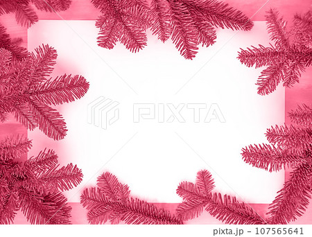 Viva Magenta - trendy color of the year 2023. Framework of green fir twings on the paper background. Viva Magenta - trendy color of the year 2023. Framework of green fir twings on the paper background. 107565641