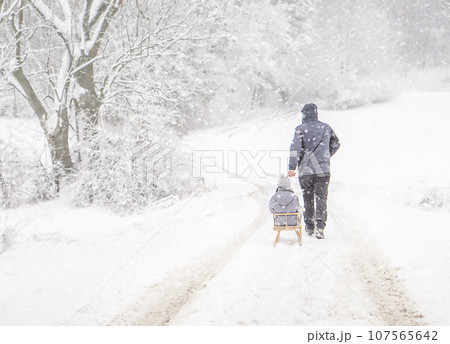 A father sledding his child on the snow winter day by snowfall. Family vacation in winter. A father sledding his child on the snow winter day by snowfall. Family vacation in winter. 107565642