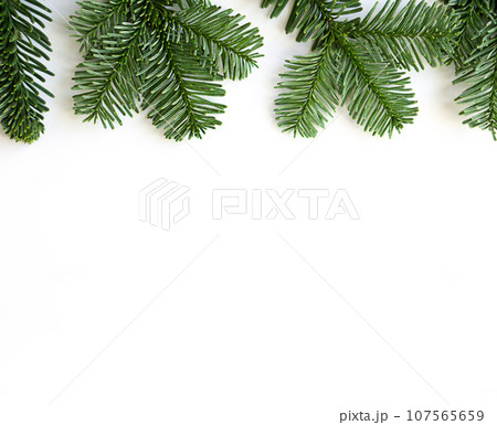 Christmas flat lay of fir branches at the top on white background with copy space. 107565659